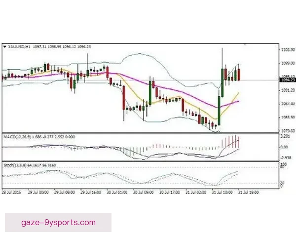 2026赛季国际网坛焦点赛事与巨星动态全景解析热点前瞻深度