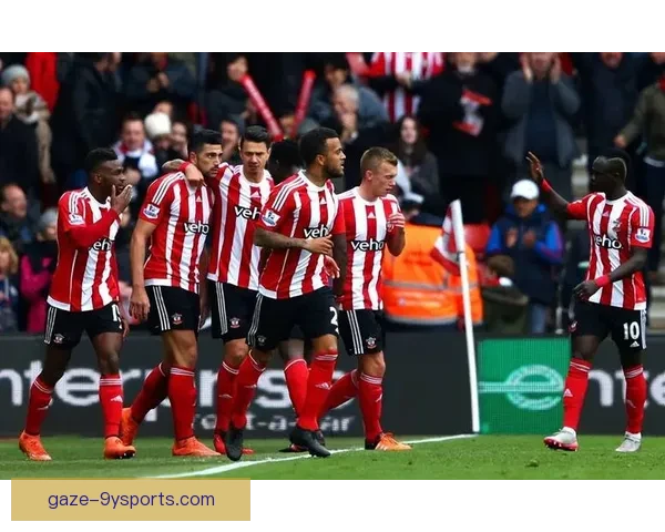 南安普顿俱乐部最新动态与赛季前景全面解析及转会策略深度观察