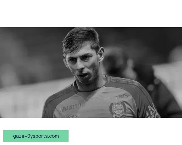 卡迪夫城俱乐部近期转会动态与新赛季备战全景解析